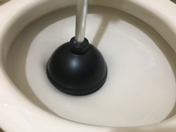 ラバーカップを便器に入れます