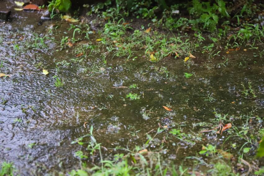 雨水枡を複数個設置して、雨水を融通して排水